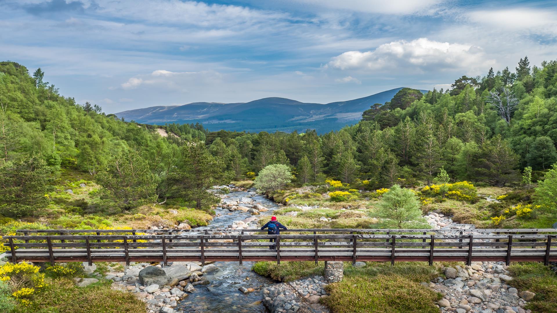 Cairngorm Mountains